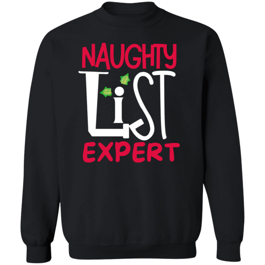 'Naughy List Expert' TShirt and sweatshirt