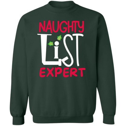 'Naughy List Expert' TShirt and sweatshirt