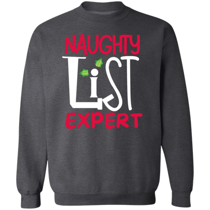 'Naughy List Expert' TShirt and sweatshirt